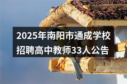 2025年南阳市通成学校招聘高中教师33人公告 图片