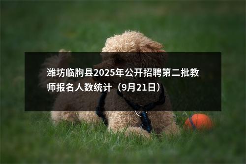 潍坊临朐县2025年公开招聘第二批教师报名人数统计（9月21日） 图片
