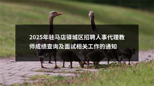 2025年驻马店驿城区招聘人事代理教师成绩查询及面试相关工作的通知 图片