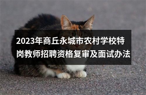 2023年商丘永城市农村学校特岗教师招聘资格复审及面试办法 图片