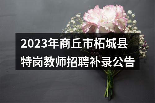 2023年商丘市柘城县特岗教师招聘补录公告 图片