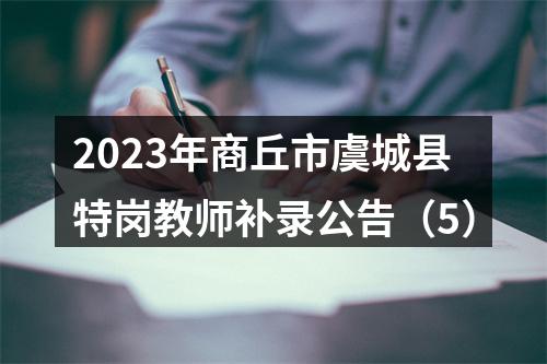 2023年商丘市虞城县特岗教师补录公告（5） 图片