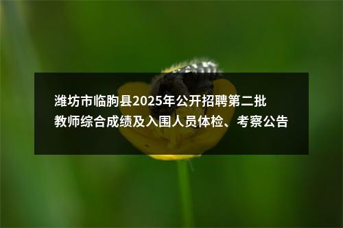 潍坊市临朐县2025年公开招聘第二批教师综合成绩及入围人员体检、考察公告 图片