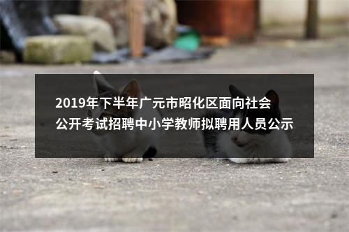 2019年下半年广元市昭化区面向社会公开考试招聘中小学教师拟聘用人员公示（第一批） 图片