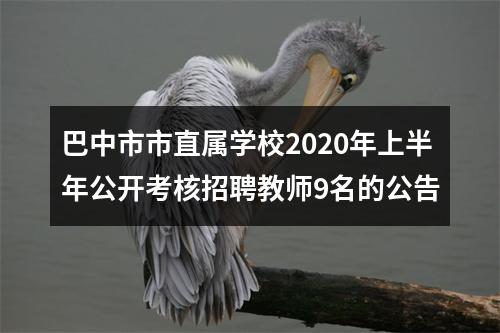 巴中市市直属学校2020年上半年公开考核招聘教师9名的公告 图片