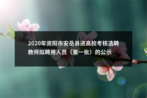 2020年资阳市安岳县进高校考核选聘教师拟聘用人员（第一批）的公示 图片