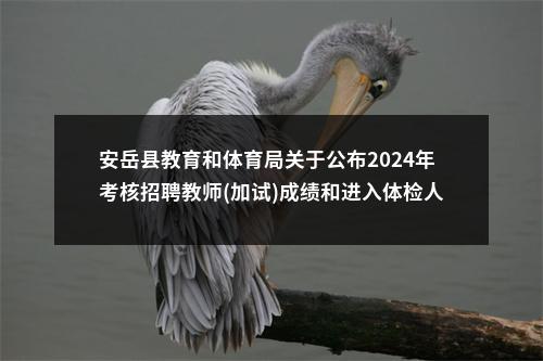 安岳县教育和体育局关于公布2024年考核招聘教师(加试)成绩和进入体检人员名单的公告 图片
