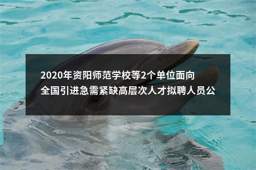 2020年资阳师范学校等2个单位面向全国引进急需紧缺高层次人才拟聘人员公示 图片