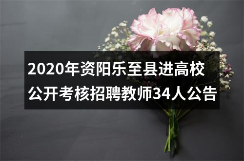 2020年资阳乐至县进高校公开考核招聘教师34人公告 图片