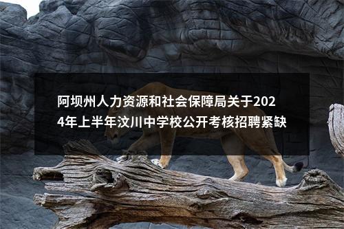 阿坝州人力资源和社会保障局关于2024年上半年汶川中学校公开考核招聘紧缺学科教师（应届生）拟聘用2名同志的公示 图片