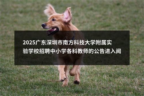 2025广东深圳市南方科技大学附属实验学校招聘中小学各科教师的公告进入阅读模式 图片