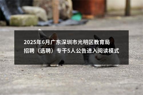2025年6月广东深圳市光明区教育局招聘（选聘）专干5人公告进入阅读模式 图片