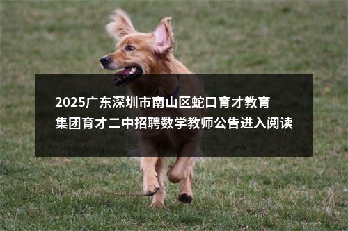 2025广东深圳市南山区蛇口育才教育集团育才二中招聘数学教师公告进入阅读模式 图片