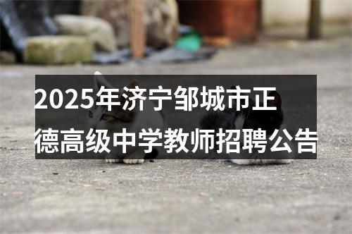 2025年济宁邹城市正德高级中学教师招聘公告 图片