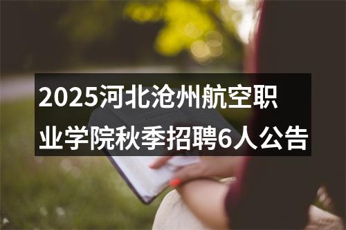 2025河北沧州航空职业学院秋季招聘6人公告 图片