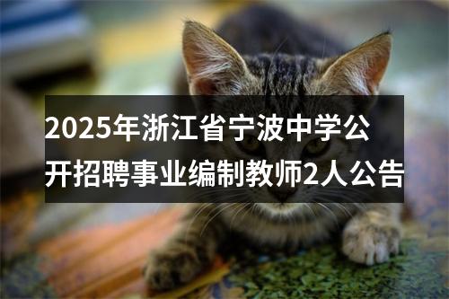 2025年浙江省宁波中学公开招聘事业编制教师2人公告 图片