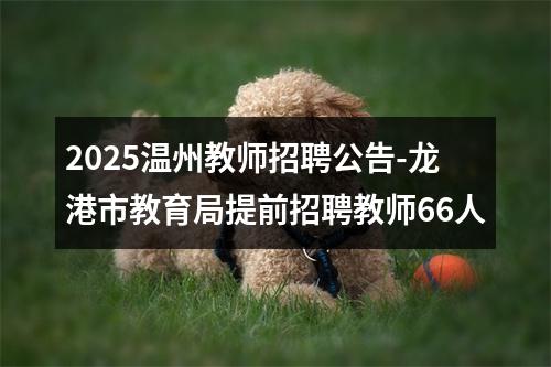 2025温州教师招聘公告-龙港市教育局提前招聘教师66人 图片