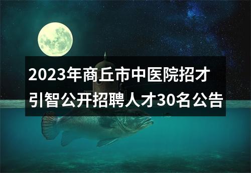 2023年商丘市中医院招才引智公开招聘人才30名公告 图片