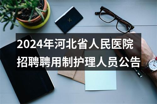 2024年河北省人民医院招聘聘用制护理人员公告 图片