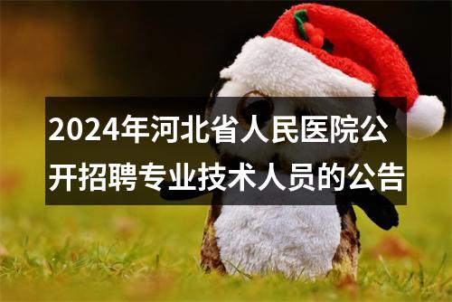 2024年河北省人民医院公开招聘专业技术人员的公告 图片