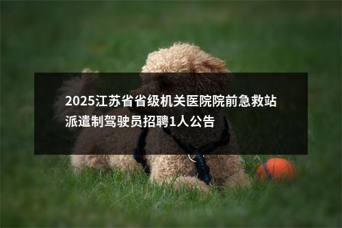 2025江苏省省级机关医院院前急救站派遣制驾驶员招聘1人公告                进入阅读模式 图片