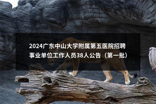 2024广东中山大学附属第五医院招聘事业单位工作人员38人公告（第一批） 图片
