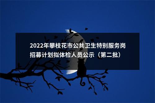 2022年攀枝花市公共卫生特别服务岗招募计划拟体检人员公示（第二批） 图片