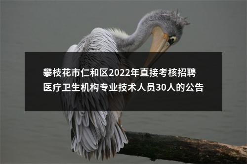攀枝花市仁和区2022年直接考核招聘医疗卫生机构专业技术人员30人的公告 图片