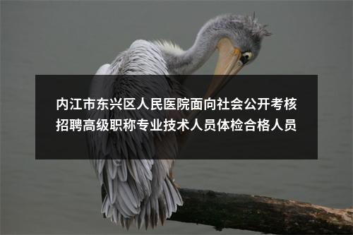 内江市东兴区人民医院面向社会公开考核招聘高级职称专业技术人员体检合格人员名单及调档有关事项的通知 图片