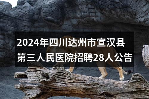 2024年四川达州市宣汉县第三人民医院招聘28人公告 图片