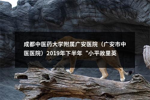 成都中医药大学附属广安医院（广安市中医医院）2019年下半年“小平故里英才计划”引进急需紧缺专业人才15名公告 图片