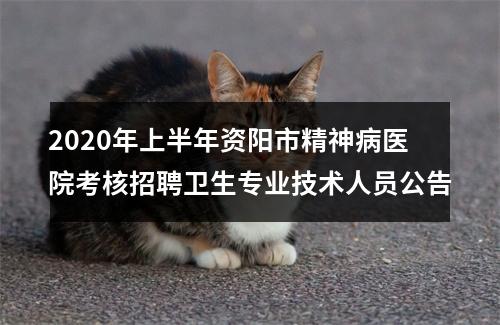 2020年上半年资阳市精神病医院考核招聘卫生专业技术人员公告 图片