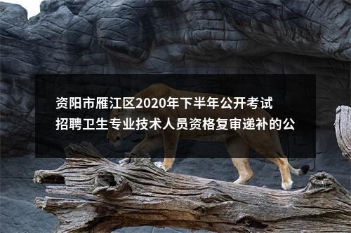资阳市雁江区2020年下半年公开考试招聘卫生专业技术人员资格复审递补的公告 图片