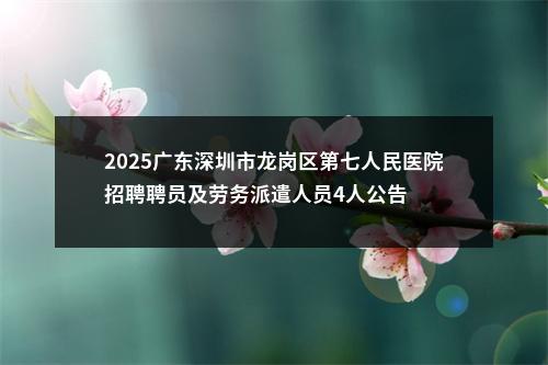 2025广东深圳市龙岗区第七人民医院招聘聘员及劳务派遣人员4人公告 图片