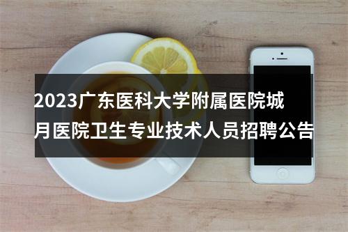 2023广东医科大学附属医院城月医院卫生专业技术人员招聘公告 图片
