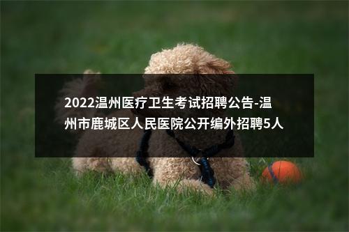 2022温州医疗卫生考试招聘公告-温州市鹿城区人民医院公开编外招聘5人 图片