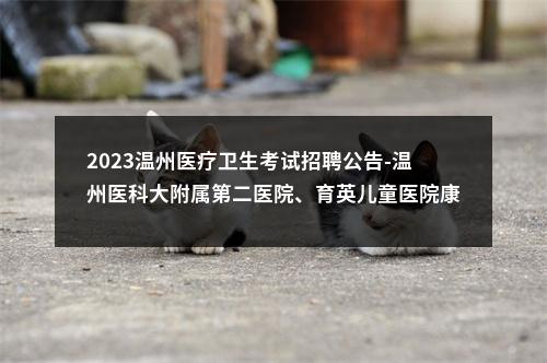 2023温州医疗卫生考试招聘公告-温州医科大附属第二医院、育英儿童医院康复院区公开招聘79人 图片