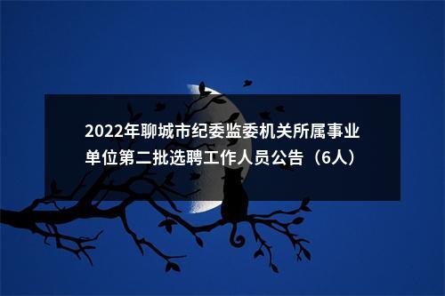 2022年聊城市纪委监委机关所属事业单位第二批选聘工作人员公告（6人） 图片