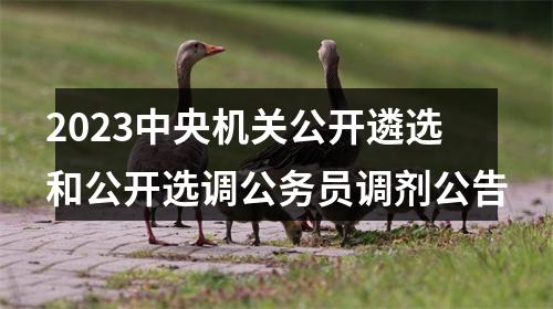 2023中央机关公开遴选和公开选调公务员调剂公告 图片