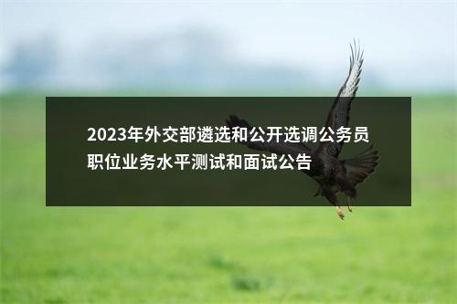 2023年外交部遴选和公开选调公务员职位业务水平测试和面试公告 图片