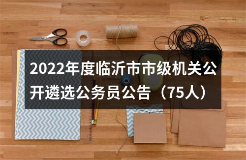 2022年度临沂市市级机关公开遴选公务员公告（75人） 图片