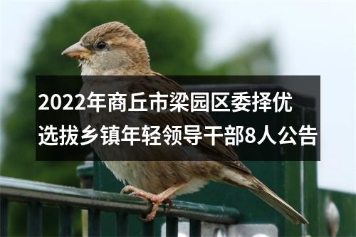 2022年商丘市梁园区委择优选拔乡镇年轻领导干部8人公告 图片