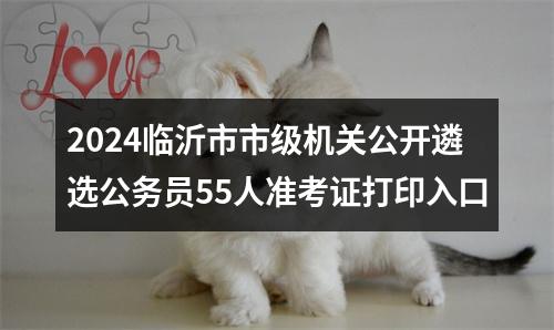 2024临沂市市级机关公开遴选公务员55人准考证打印入口 图片