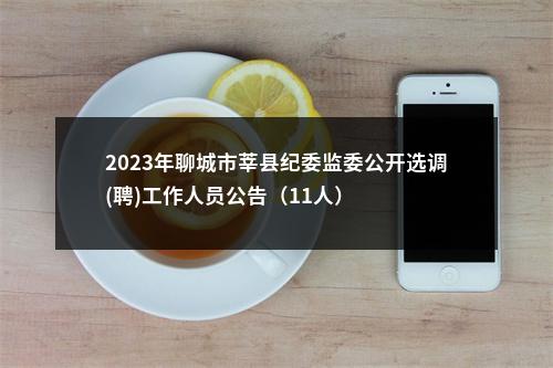 2023年聊城市莘县纪委监委公开选调(聘)工作人员公告（11人） 图片