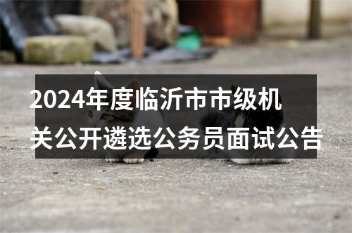 2024年度临沂市市级机关公开遴选公务员面试公告 图片