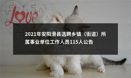 2021年安阳滑县选聘乡镇（街道）所属事业单位工作人员115人公告 图片