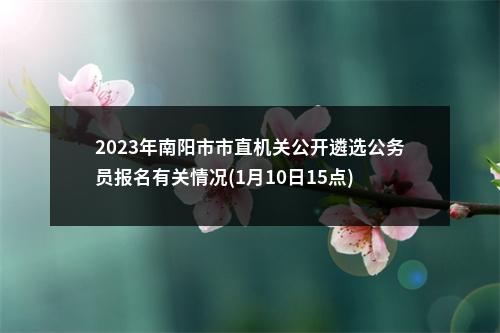 2023年南阳市市直机关公开遴选公务员报名有关情况(1月10日15点) 图片