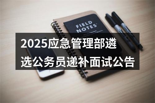 2025应急管理部遴选公务员递补面试公告 图片