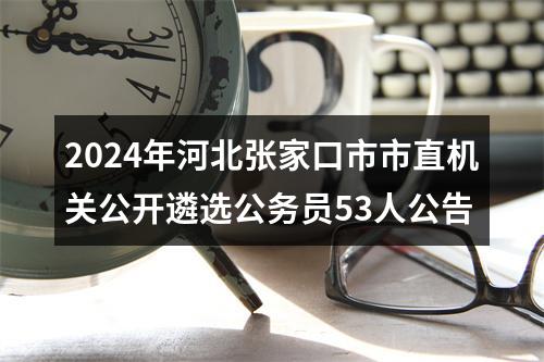 2024年河北张家口市市直机关公开遴选公务员53人公告 图片