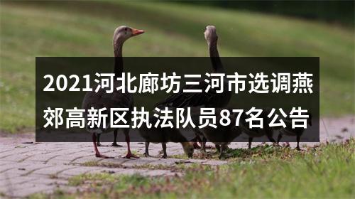 2021河北廊坊三河市选调燕郊高新区执法队员87名公告 图片
